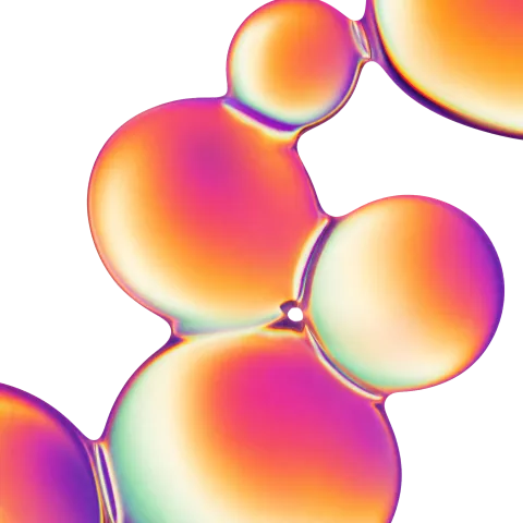 principle4