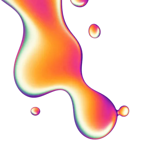 principle6