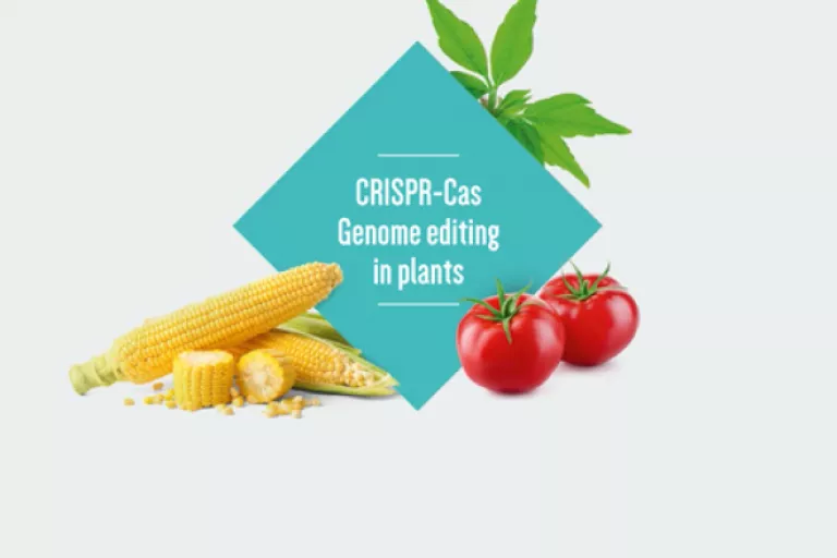 Fact Series - CRISPR-Cas
