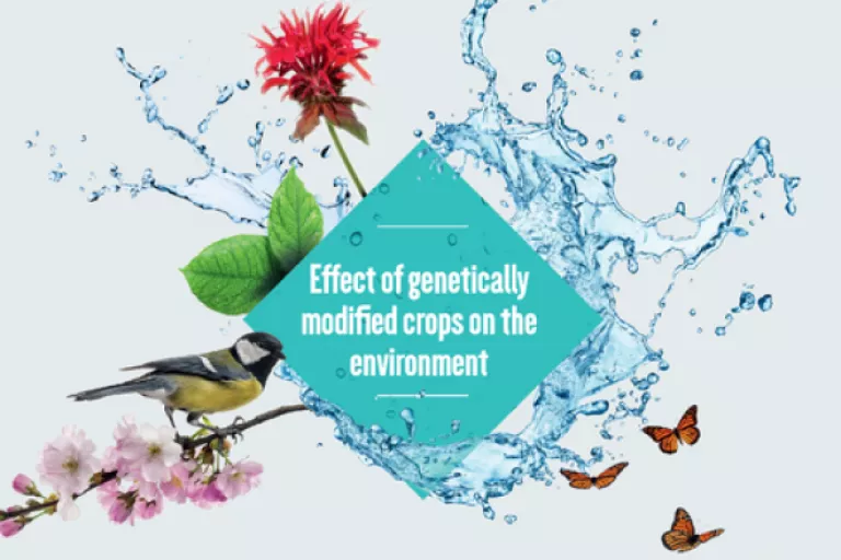 Fact Series - Effect Of Genetically Modified Crops on the Environment