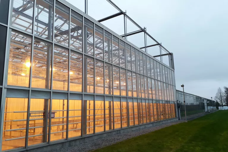 Agro-Incubator - Nevele