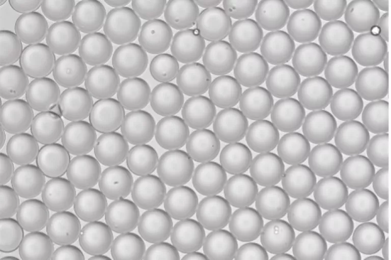 single-cell technologie