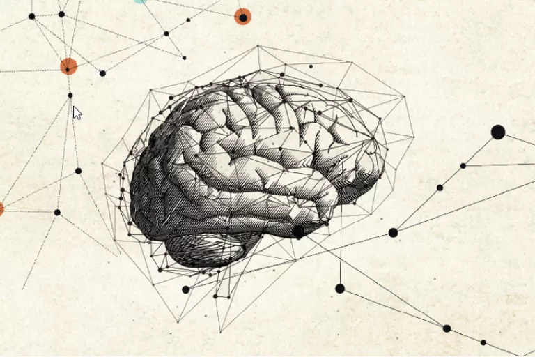 Neuroscience_brain