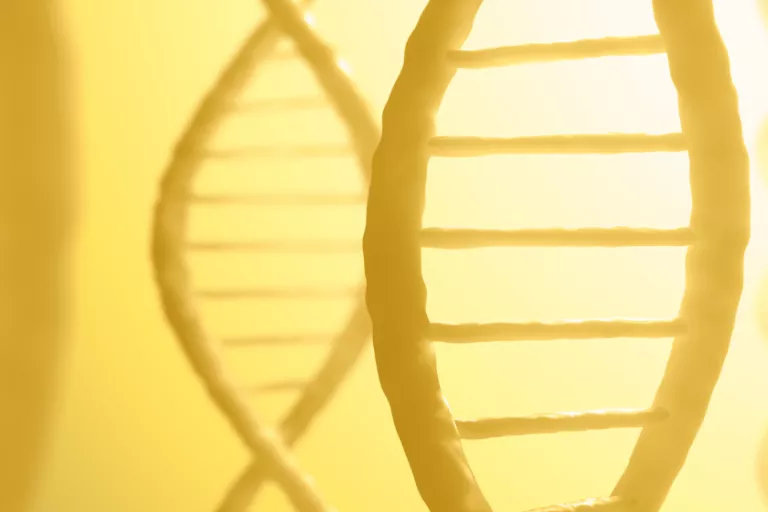 DNA sequencing tools with our technology