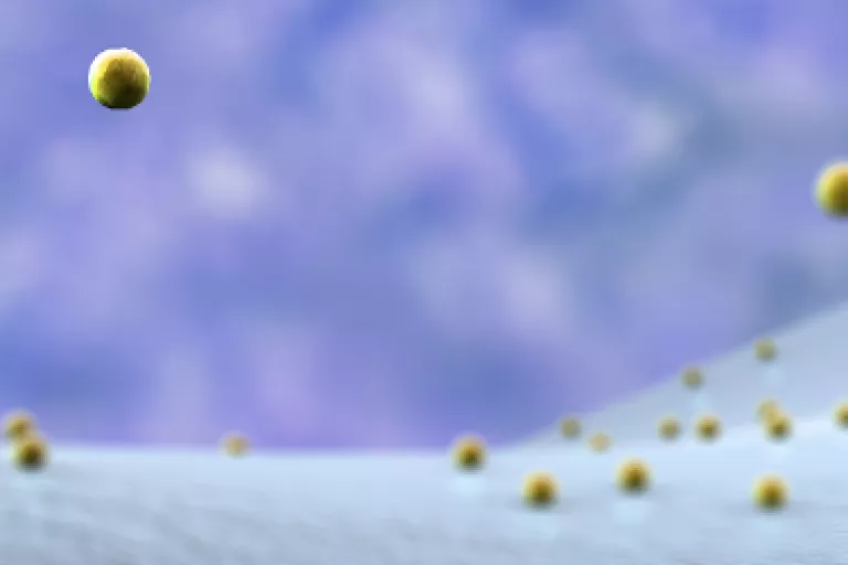 Understanding primary immune deficiencies