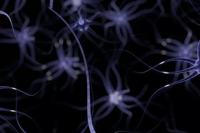 Center for Brain and Disease