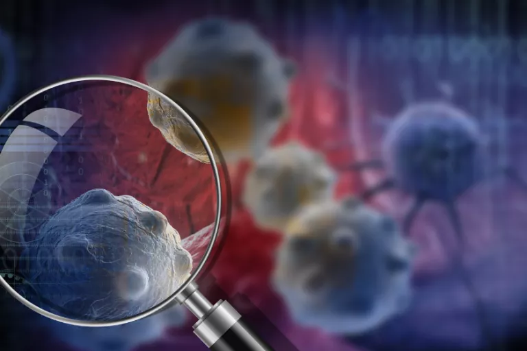 Center for Cancer Biology