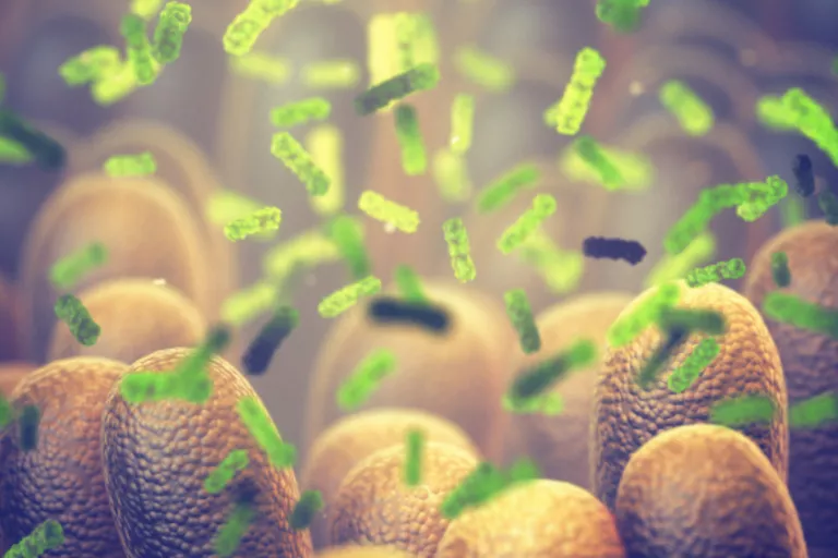 Microbiota modulation strategies in inflammatory bowel disease