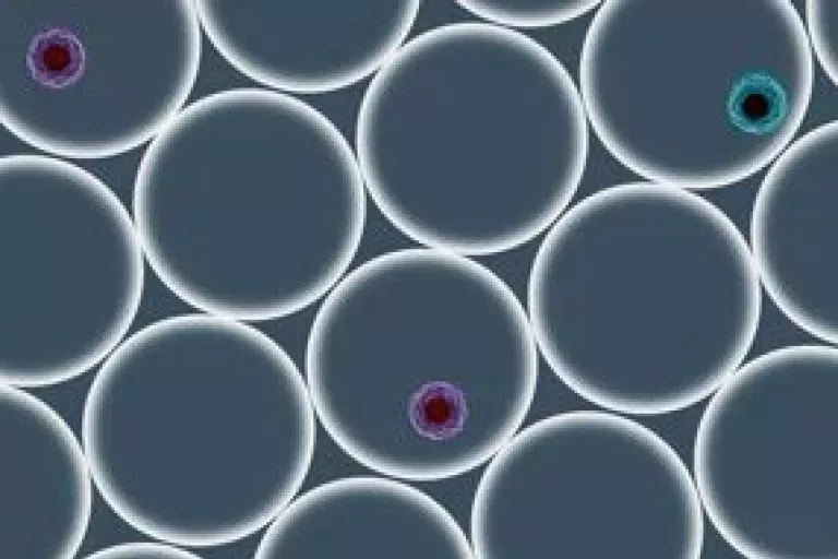 Single Cell Hashing