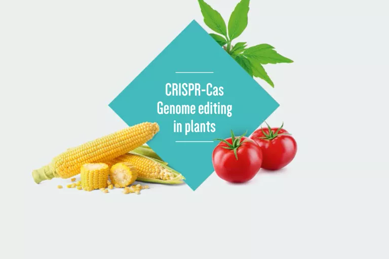 front page of the CRISPR-Cas facts series booklet