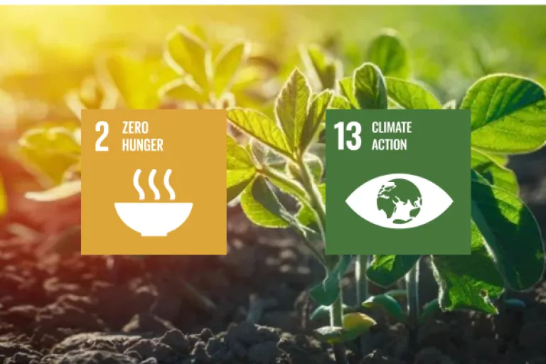 Soy in Flanders Sustainability