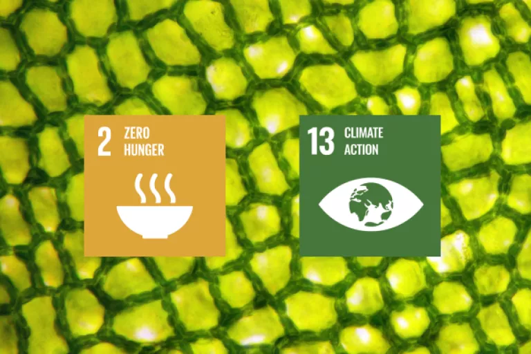 PSB Sustainability