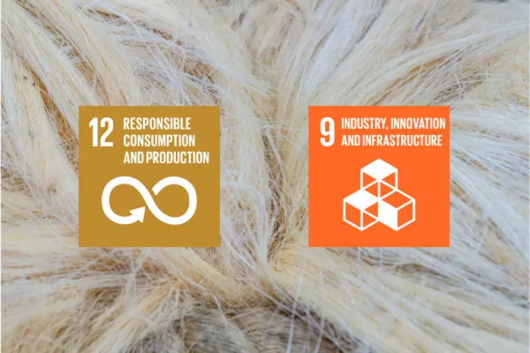 CSB Biobased Materials Sustainability