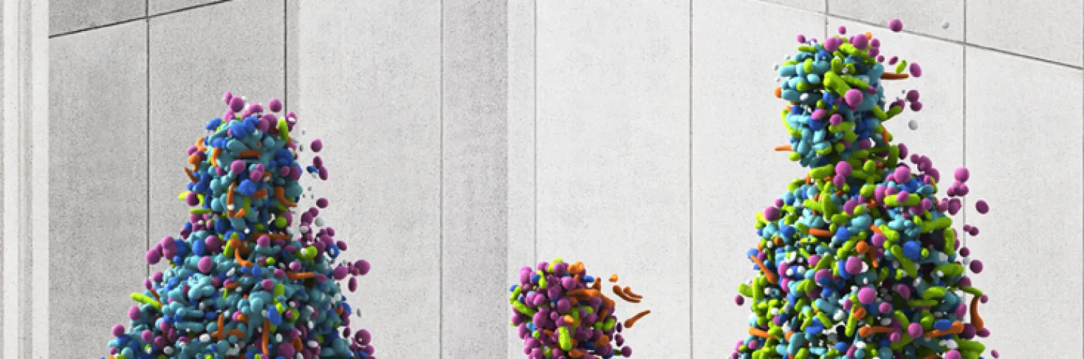 Banner Flemish Gut Flora project