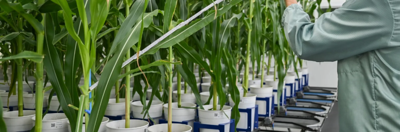 Agribiotech cluster in Ghent