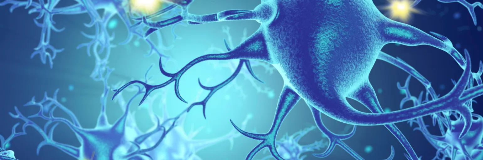 Center for Molecular Neurology