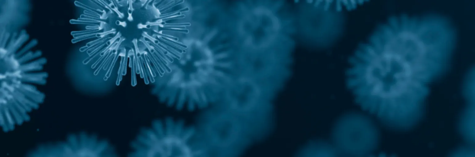 Inhalable biologics