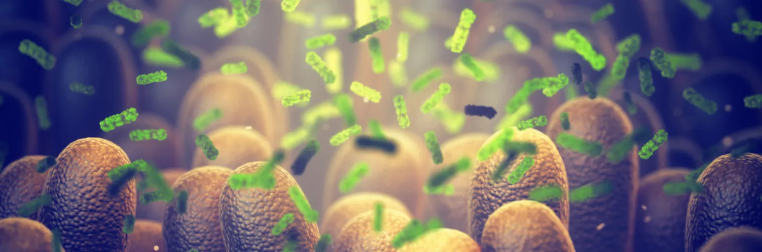 Microbiota modulation strategies in inflammatory bowel disease