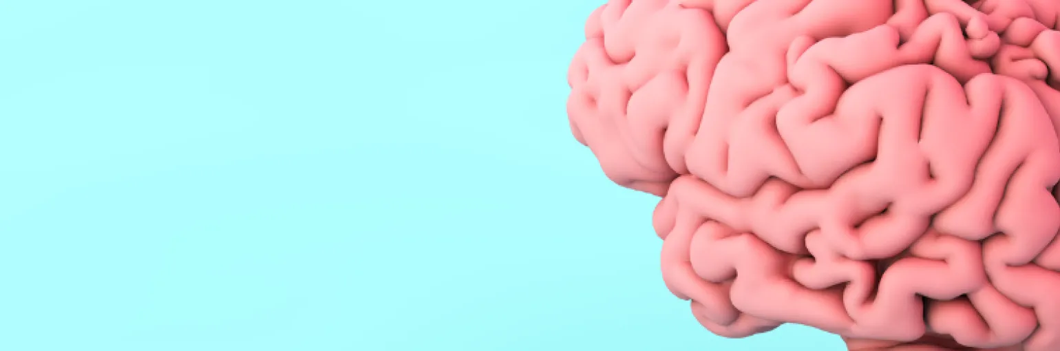 Targeting drugs on the brain project