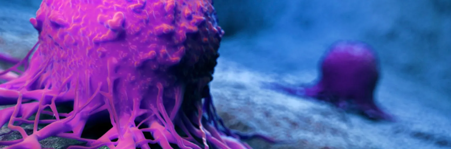 Immuno therapy project