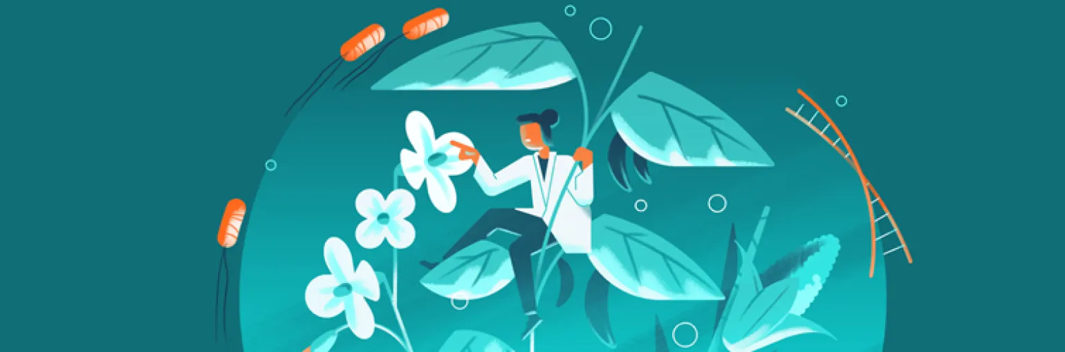 Website banner CropsForClimate
