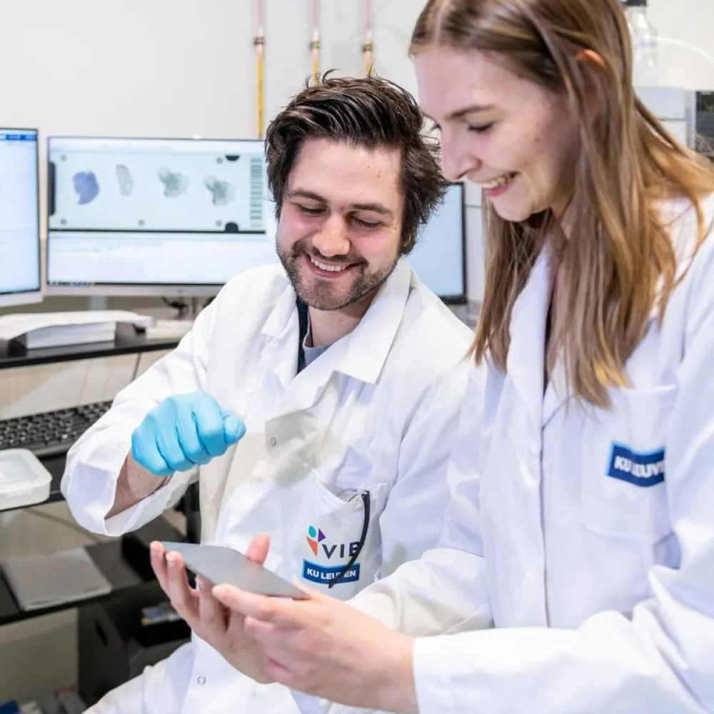 Two people looking at plate