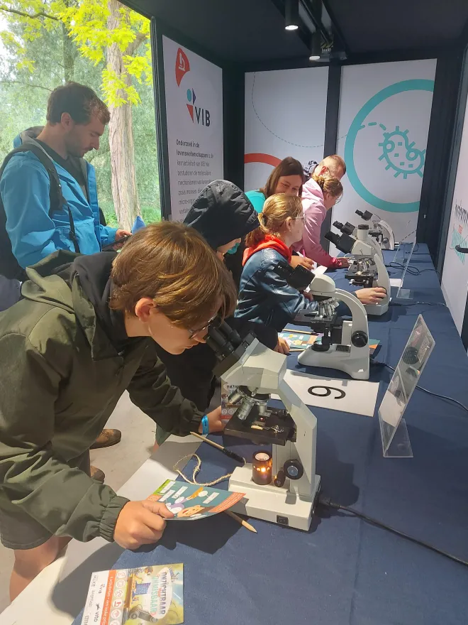 Kids looking through microscopes