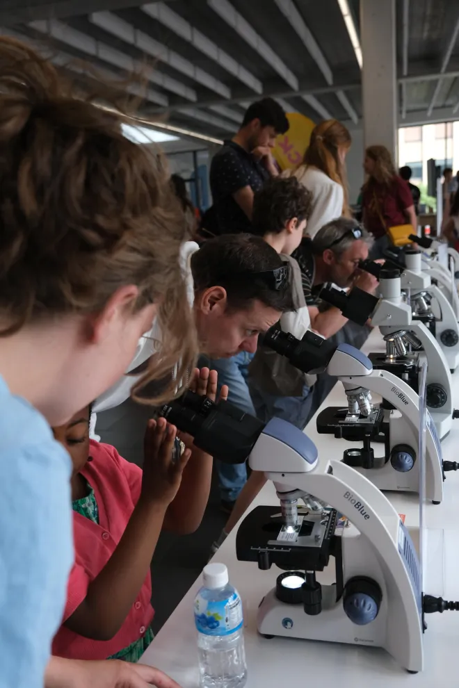 People looking through various microscopes