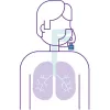 IBCORI