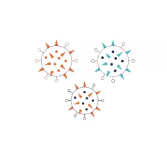 A pan-influenza neutralizing nanobody
