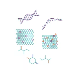Multi-omics approach