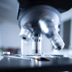 microscope