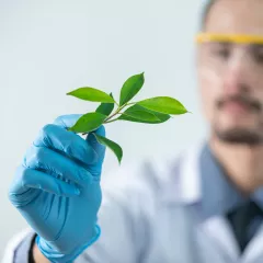 man holding plant