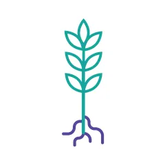 VIB-PSB-icon-for-web